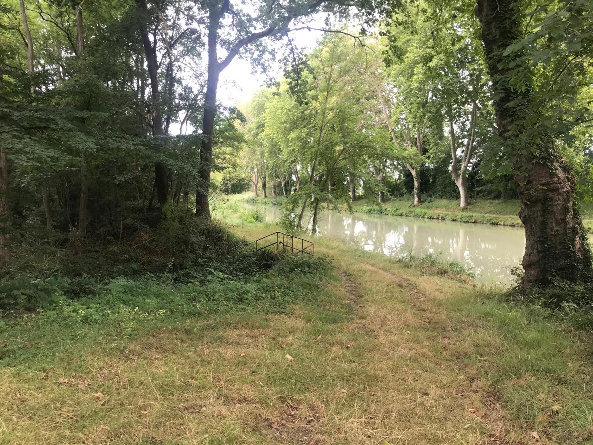 Bus Atypique Au Bord Du Canal Du Midi Et Au Coeur D'Une Foret 2 Chambres Villepinte  Exterior photo